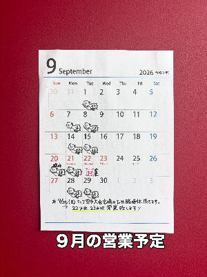 FB8F9329-F6FF-4A0C-BAC9-F9F593A90DAA-resized.jpg